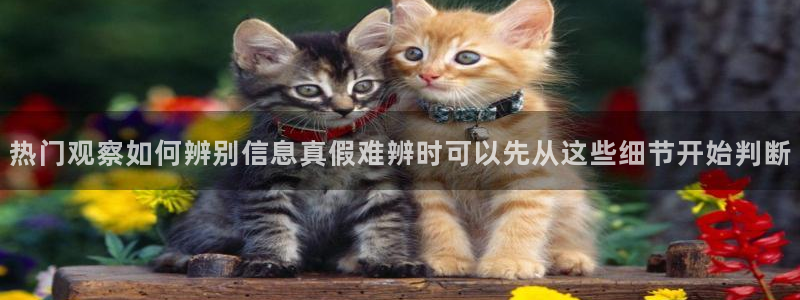 91吃瓜热门热搜