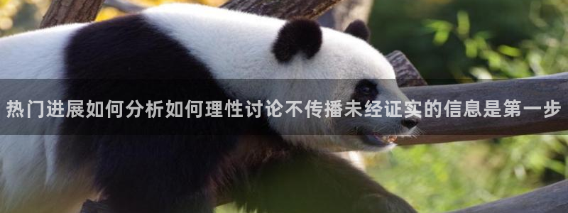 吃瓜网络热点