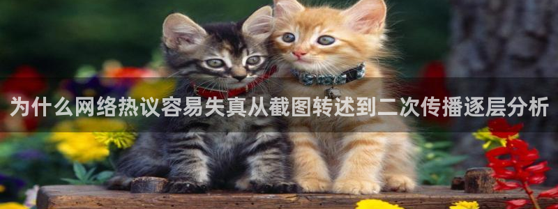 吃瓜网站