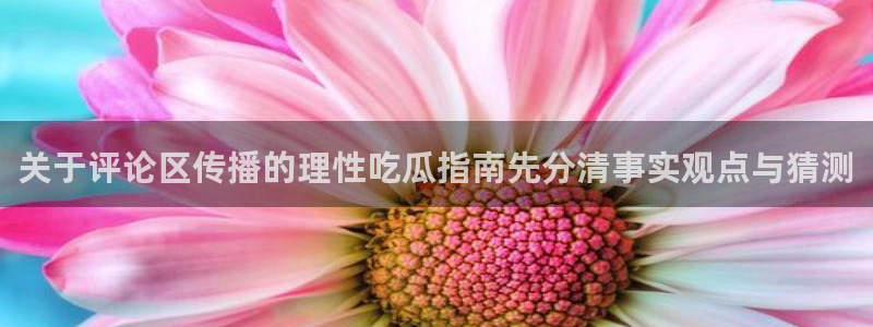 91吃瓜在线观看网站